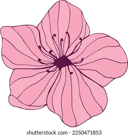 Hand drawn pink flower on white background. Botanical element. Vector illustration