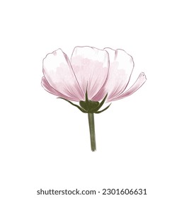 Hand drawn pink flower. Vector design.