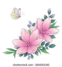 Hand drawn pink flowers and flying butterfly isolated on white background. Vector elegant floral arrangement in vintage style.