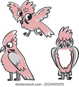 Hand Drawn pink and grey galah birds