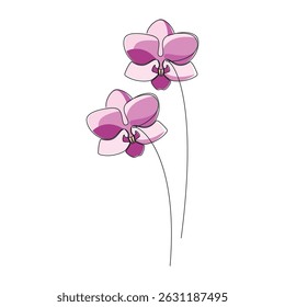 Hand drawn pink orchid flower vector. Linear icon. Line continuous drawing. Floral design, botanical print, card, wall art poster, logo, sign, doodle, symbol. Abstract cartoon plant illustration