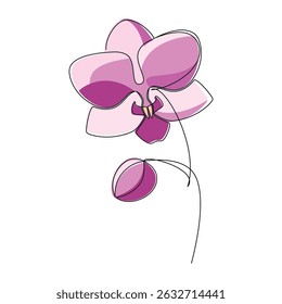 Hand drawn pink orchid flower vector. Linear icon. Line continuous drawing. Floral design, botanical print, card, wall art poster, logo, sign, doodle, symbol. Abstract cartoon plant illustration
