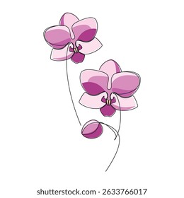 Hand drawn pink orchid flower vector. Linear icon. Line continuous drawing. Floral design, botanical print, card, wall art poster, logo, sign, doodle, symbol. Abstract cartoon plant illustration