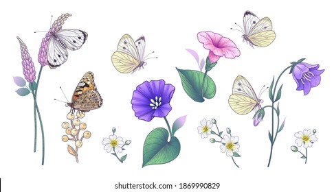 Hand drawn pink and purple wildflowers and butterflies isolated on white background. Colorful different floral elements and meadow insects. Vector elegant flowers set in vintage style.