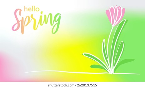 hand drawn pink tulip flower and "Hello Spring" lettering on a green, yellow, pink gradient background. trendy illustration for banners, cards, social media, ads, seasonal poster, flyer.