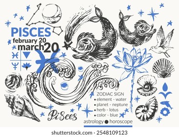 Hand drawn pisces zodiac sign illustration, horoscope background with astrology symbols and talismans. Zodiac wheel, planets, sun, moon, star constellations, lotus, seagull, shell, pearl, wave.