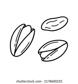 Pistachio plant hand drawn vector illustrations set. Growing tree