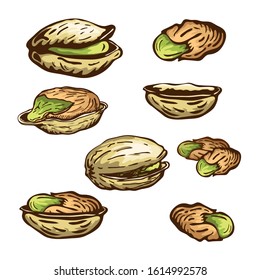 hand drawn pistachio nuts set isolated on white background. vector engraved nuts drawing, open pistachios and nutshell illustration in vintage style. healthy snack, beer appetizer.great for eco design
