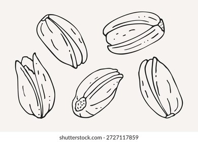 Dibujado a mano pistachos nueces conjunto en diferentes posiciones blanco y negro boceto de contorno aislado en el fondo blanco bocadillo orgánico saludable, nuez, ingrediente para el embalaje, etiqueta, menú, diseño de logotipo.