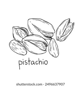 Dibujado a mano Nueces de pistacho Ilustración de boceto