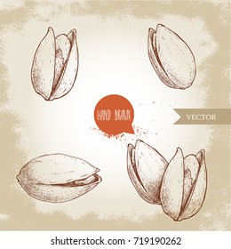 Hand drawn pistachios set. Open and fried fresh organic food. Nuts illustrations isolated on vintage background.
