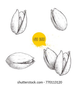 Hand drawn pistachios set. Open and fried fresh organic food. Singles and group. Nuts vector illustrations isolated on white background.
