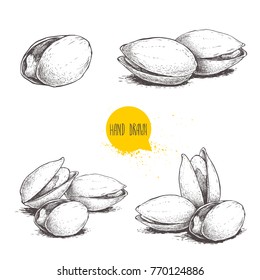 Conjunto de pistácios desenhados à mão. Comida orgânica fresca aberta e frita. Solteiros e grupo. Ilustrações vetoriais porcas isoladas em fundo branco.