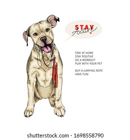 Hand drawn pit bull dog sits with a jumping rope. Stay home. Vector engraved quarantine poster. Stay active, stay at home. Covid-19 pandemic flyer. Sport, workout, active life