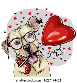 Hand drawn pit bull teriier with heart shape baloon. Vector Valentine day greeting card. Cute colorful dog wears glasses,collar and tie. Romantic design. Lovely pet portrait. Poster, banner. Spread lo