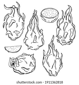 Hand drawn pitahaya on white background. Vector sketch  illustration.