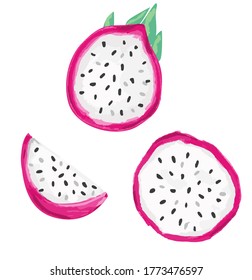 Hand drawn Pitaya Fruit Vector. Dragon Fruit set isolated on a white background. 