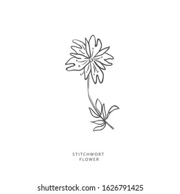 Hand drawn plant branches. Greenery design elements. Botanical  logos.