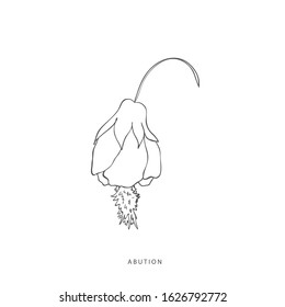 Hand drawn plant branches. Greenery design elements. Botanical  logos.