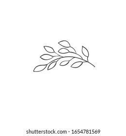 Hand drawn plant branches. Greenery design element. Botanical logo.