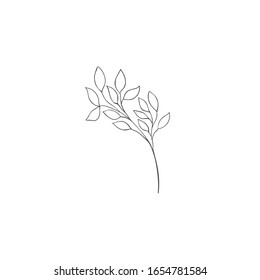 Hand drawn plant branches. Greenery design element. Botanical logo.