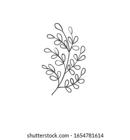 Hand drawn plant branches. Greenery design element. Botanical logo.