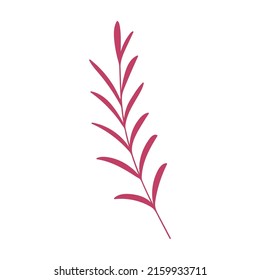 Hand drawn plant element, twig, grass isolated on a white background. Doodle, illustration in a simple flat style. It can be used for decoration of textile, paper and other surfaces.