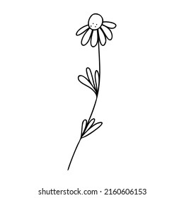 Hand drawn plant element, twig, flower isolated on a white background. Doodle, simple outline illustration. It can be used for decoration of textile, paper.