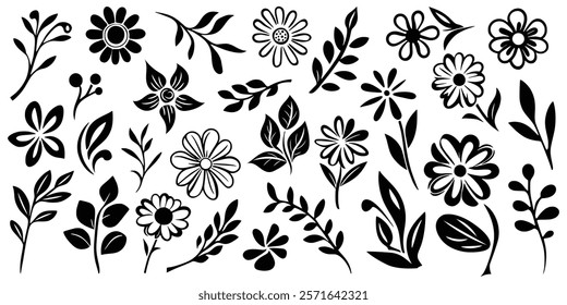 Hand drawn plant elements, flowers and leaves, vector design