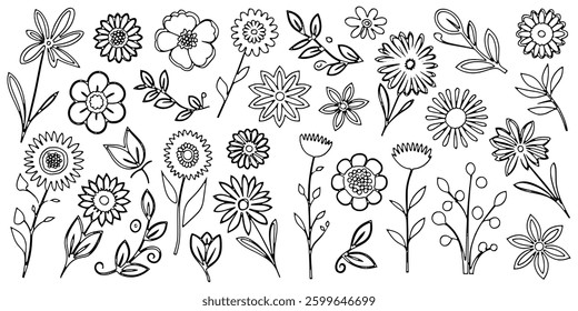 Hand drawn plant elements, flowers and leaves, isolated on white background, vector design