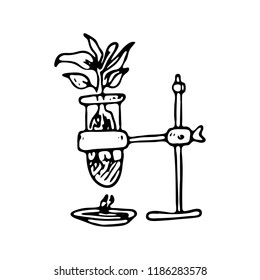 Hand drawn plant in flask doodle icon. Hand drawn black sketch. Sign symbol. Decoration element. White background. Isolated. Flat design. Vector illustration.