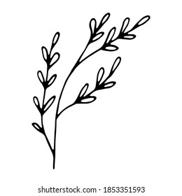 Hand drawn plant. Floral hand drawn doodle icon for social media story. Ink drawn branch