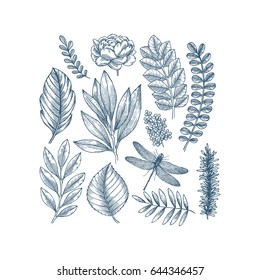 Hand drawn plant and flower collection. Vintage engraved flower set. Vector illustration