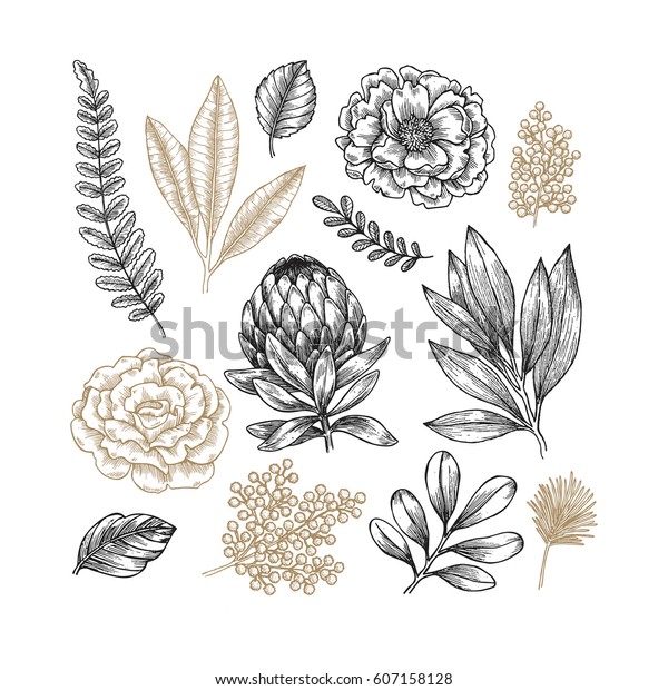 Vettoriale Bella Filiale In Bianco E Nero Con Fiori Disegnati In Grafica Stile Retro Sfondo Perfetto Per Biglietti Di Auguri E Inviti Del Matrimonio Compleanno San Valentino S Image 28491660