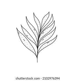 Hand drawn plant icon in doodle style. Cartoon plant vector icon for web design isolated on white background.
