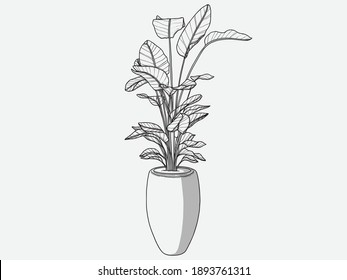 Hand drawn Plant. Indoor plant in a Jar. Scandinavian style illustration with monstera, modern and elegant home decor. Vector poster design.