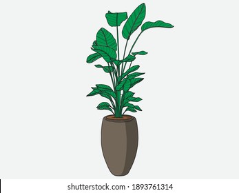 Hand drawn Plant. Indoor plant in a Jar. Scandinavian style illustration with monstera, modern and elegant home decor. Vector poster design.