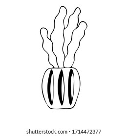 Hand drawn plant in the pot. Black line. Vector illustration.