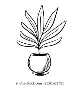 Hand drawn plant in a pot. Home design interior decor. Botanical sign vector illustration isolated on white background.