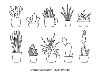 hand drawn plant in pot isolated on white background. vector design collection