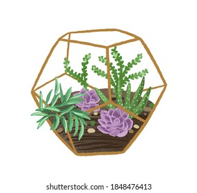 Hand drawn plant terrarium with succulents in modern scandi style. Decorative houseplants composition in glass florarium isolated on white background. Flat vector cartoon illustration