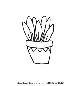Hand drawn plant vector illustration