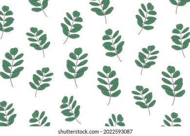 Hand drawn plant vector illustration with a white background, floral pattern