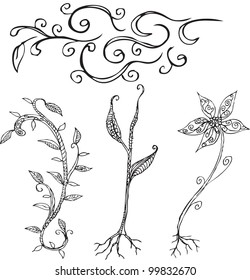 hand drawn plants