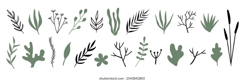 Hand drawn plants, herbs, flowers. Vector set of doodle boho minimal natural botanical elements for graphic design