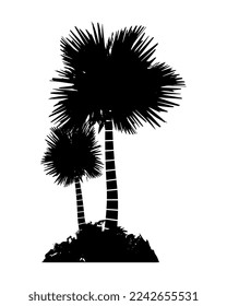 hand drawn plants, plant drawing vine isolated vector art on white background
