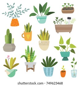 hand drawn plants set