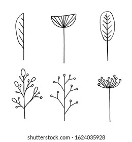 Hand drawn plants and tree branches with leaves. Vector floral silhouettes. Graphic design elements. Black and white botanical illustration.