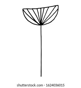 Hand drawn plants and tree branches with leaves. Vector floral silhouettes. Graphic design elements. Black and white botanical illustration.