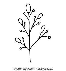 Hand drawn plants and tree branches with leaves. Vector floral silhouettes. Graphic design elements. Black and white botanical illustration.
